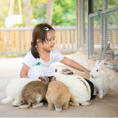 Life Skill Experience Center